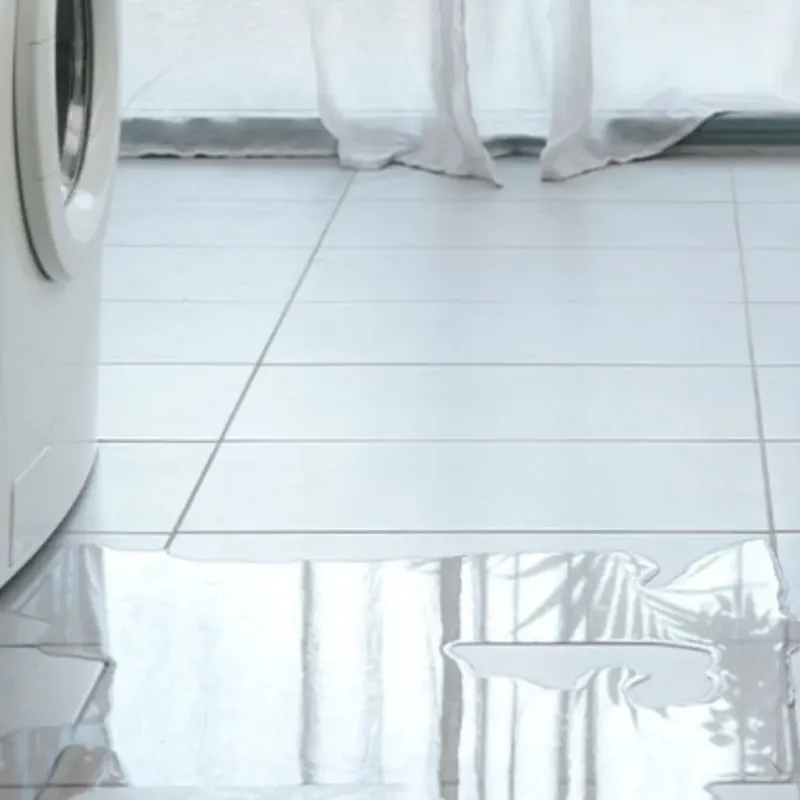 Appliance Leak Cleanup in Washington County, FL