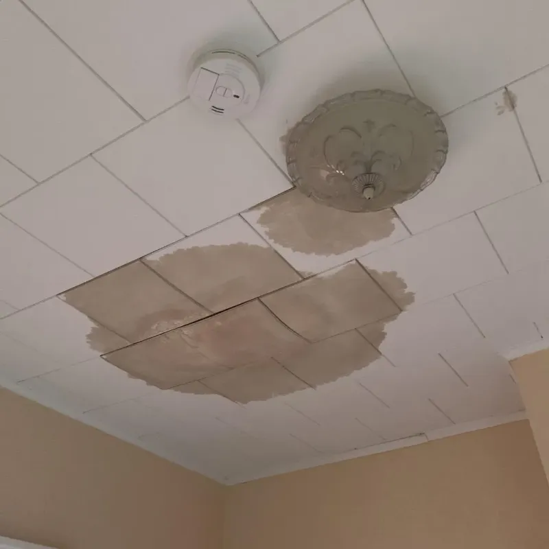 Ceiling Water Damage Repair in Washington County, FL