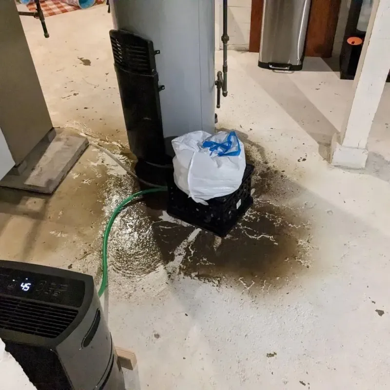 Sewage Backup Cleanup Service in Washington County, FL